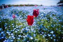 【年金月額】国民年金だけなら平均約5.8万円。では厚生年金をもらえる場合は平均いくら？