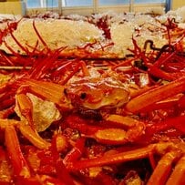 ベニズワイガニの初水揚げと初競りが鳥取県境港でスタート　水揚げ量日本一の港に本格シーズン到来