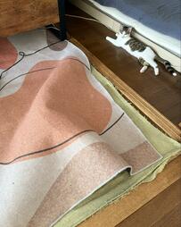 床の「こんもり」を踏まないようにしていた猫の飼い主　まさかの結末に笑っちゃう