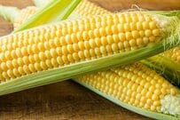 手軽で簡単な「とうもろこしの調理方法」に4万7000いいね　「これは凄い情報」「有益」