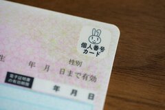 マイナポイント申込みは9月末まで【マイナ法改正案成立】健康保険証と公金受取口座はどうなるか