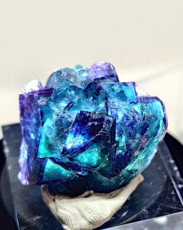 青紫に輝く幻想的なフローライト まるで花のような形に「心を奪われる