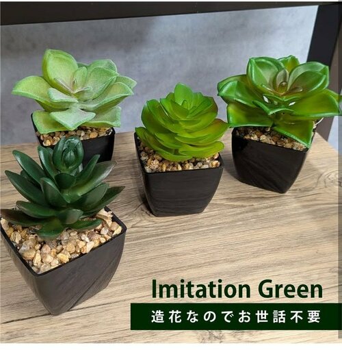 多肉ポット（B）