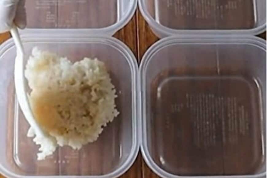 家族のために作る「4人分の愛情弁当」　おかずのバランスが最高な弁当に思わず二度見