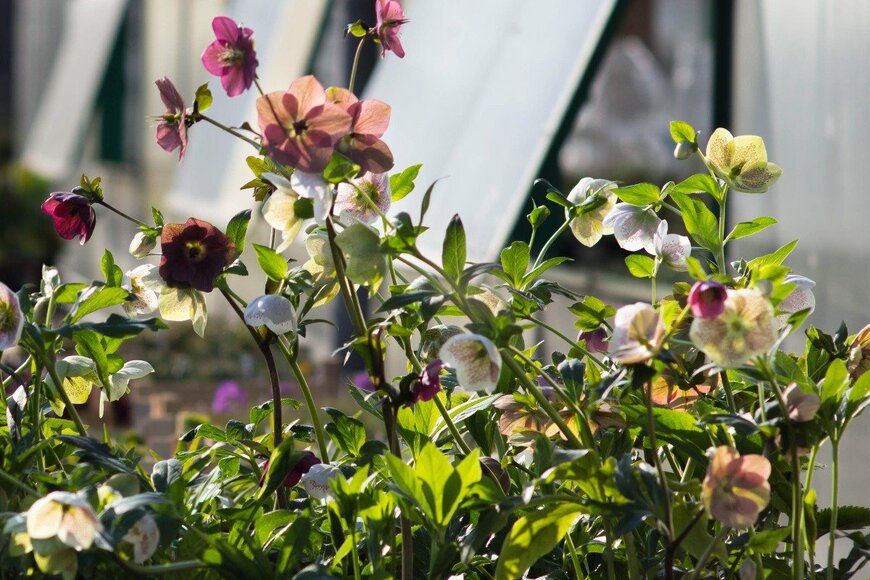 jstankiewiczwitek/istockphoto.com