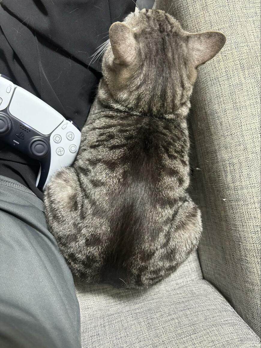 出所：@totomaru_hanmi