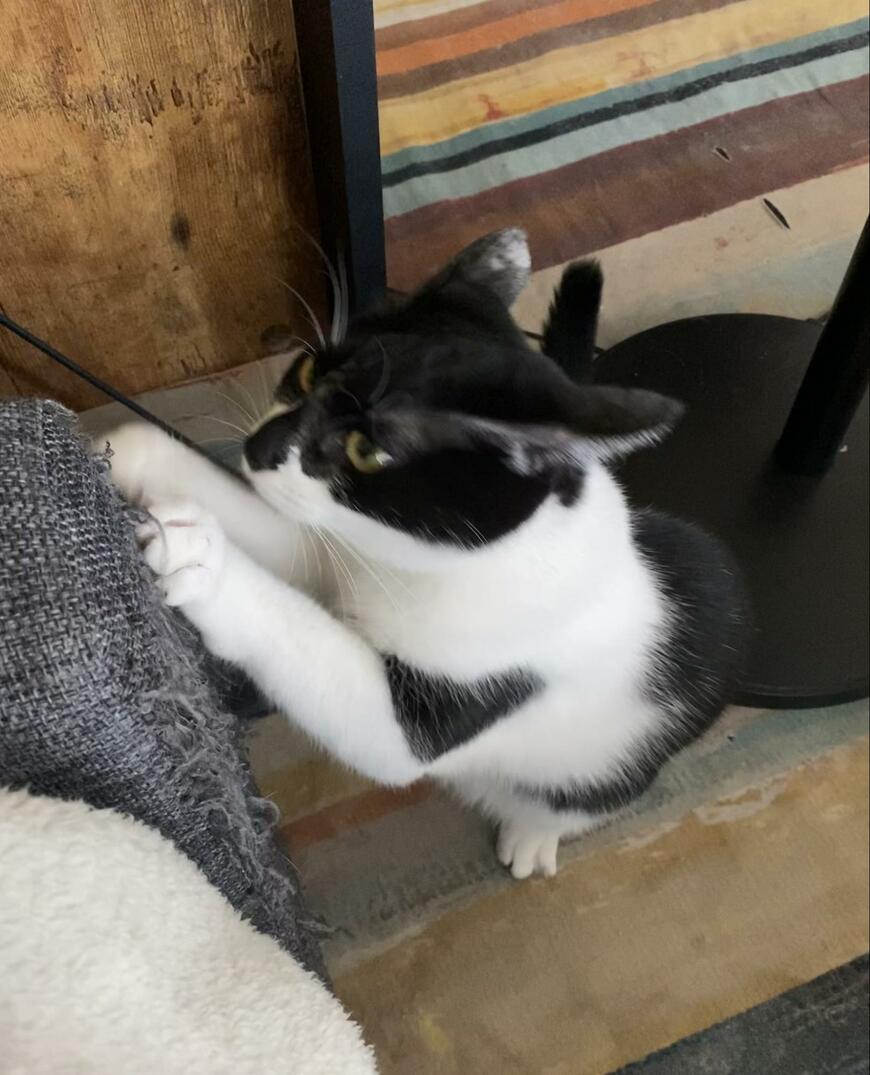 出所：@00shitemita