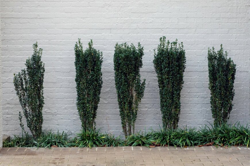 Joanne Dale/shutterstock.com