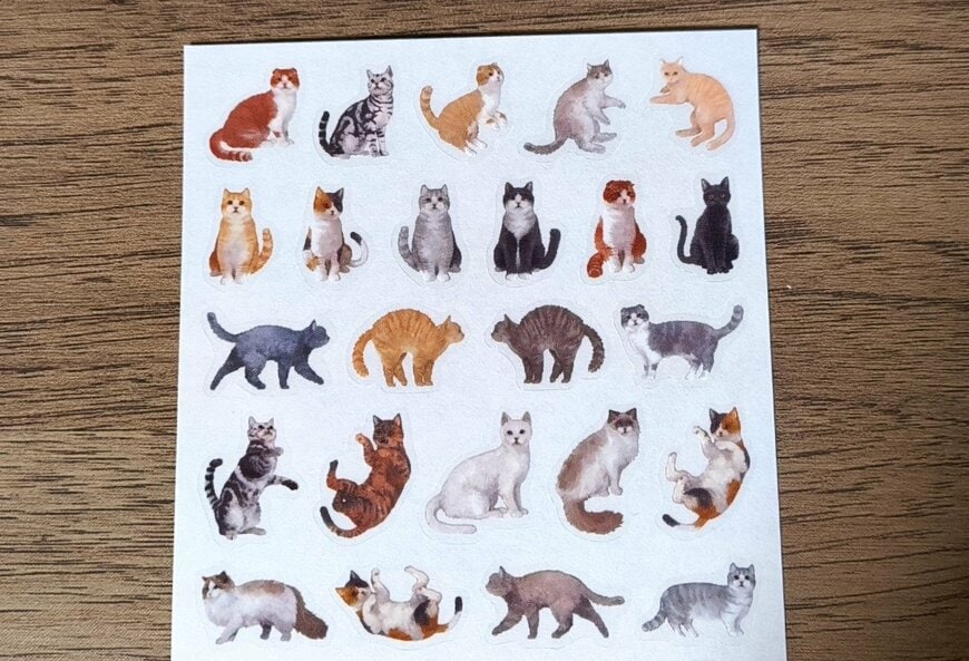 筆者撮影（セリア、フィルムダイカットシール ねこ柄 58片）