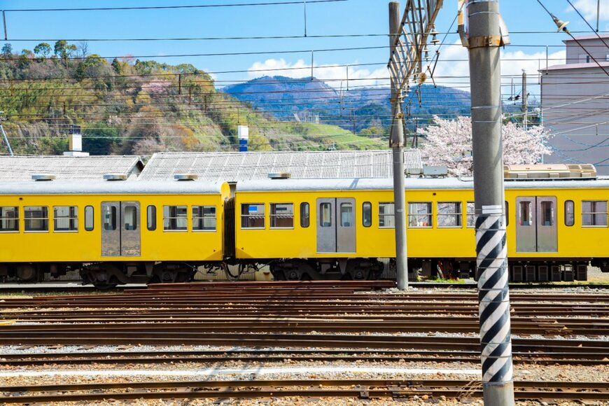 Sanga Park/shutterstock.com