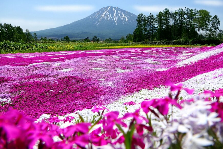 【全国旅行支援】2023年4月以降も継続決定した都道府県まとめ（東日本編） 