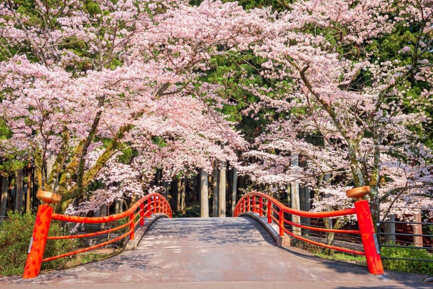 【厚生年金】4月15日は年金支給日でしたが「額面で月15万円」でした。これって少ないですよね…？