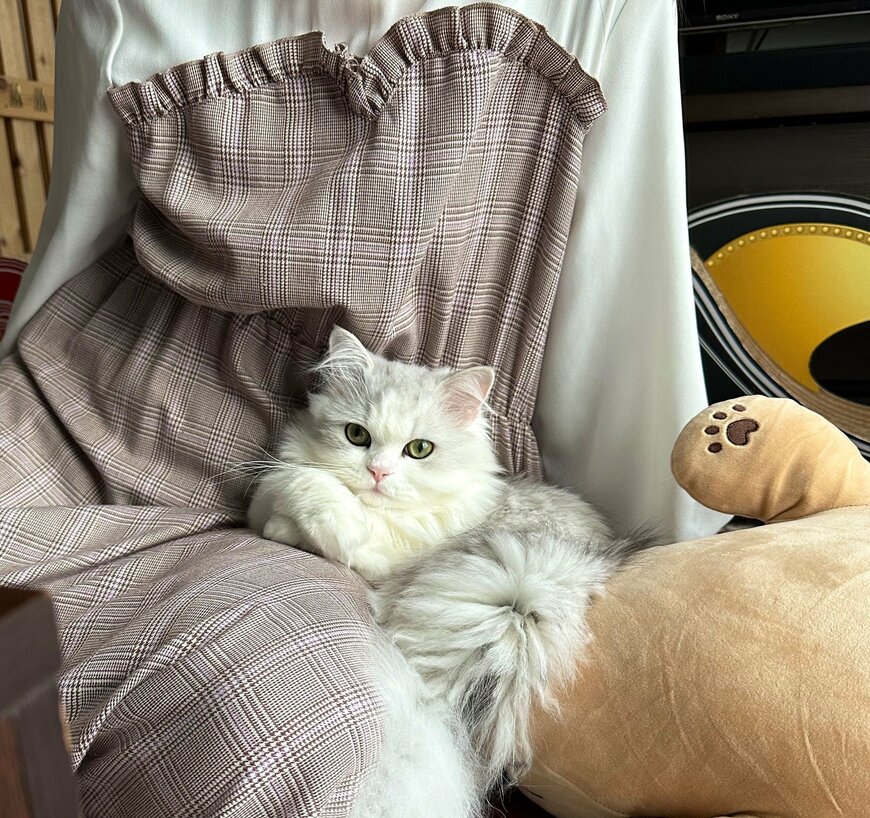 出所：@NEKOLAND13