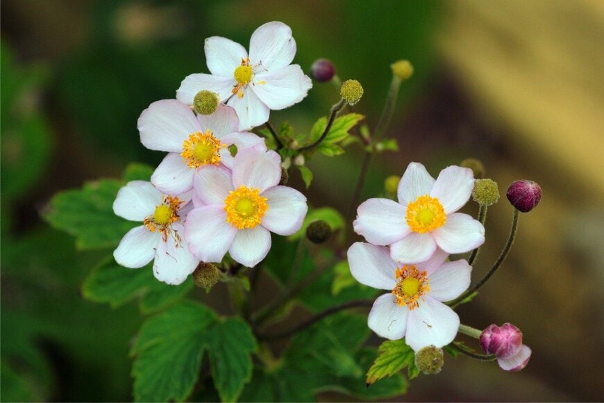 aquatarkus/istockphoto.com