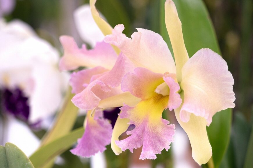 y-studio/istockphoto.com