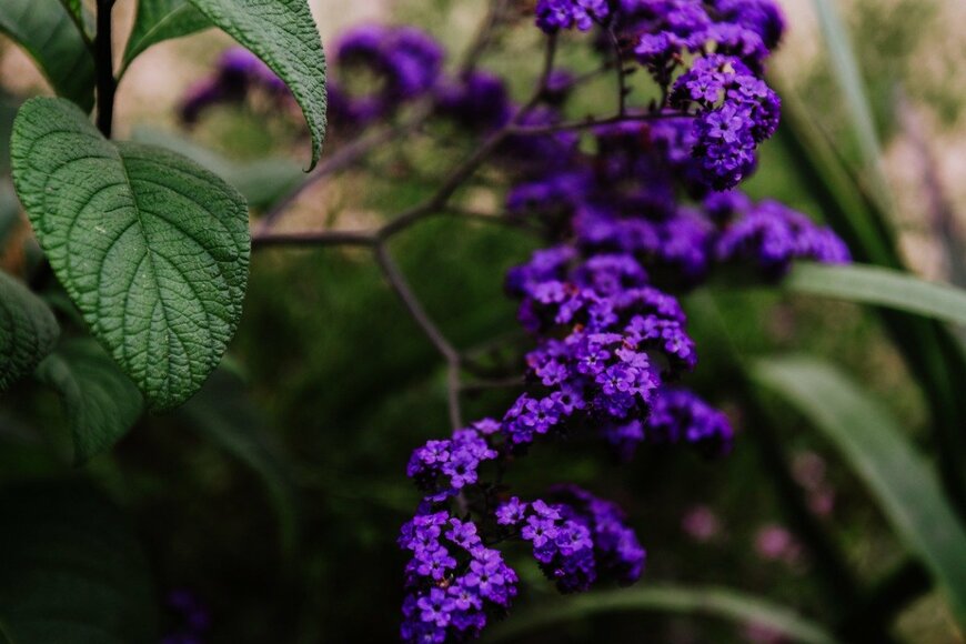 Wirestock/istockphoto.com