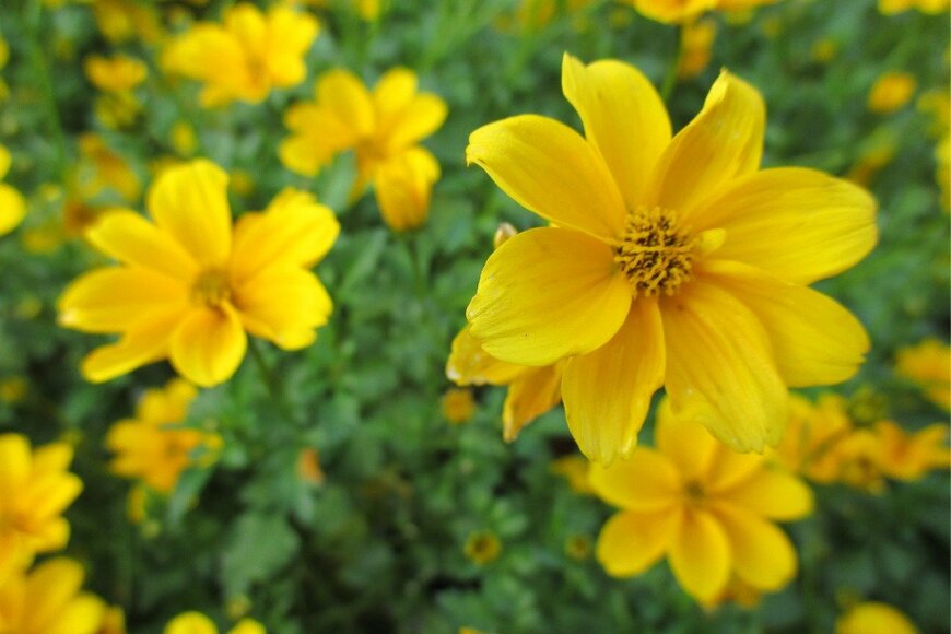 Yasuo Iwami/istockphoto.com