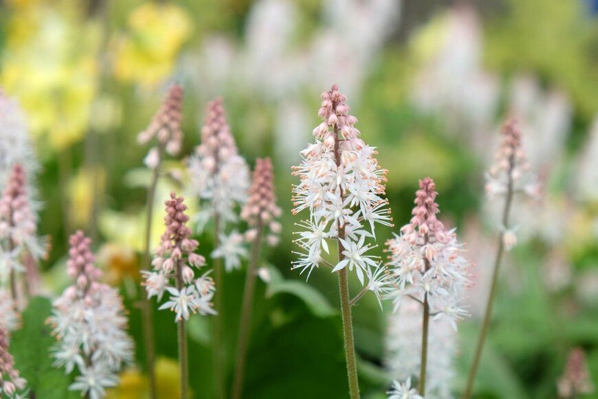 Alex Manders/shutterstock.com