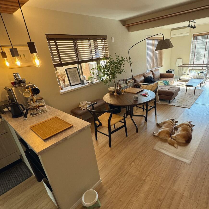 出所：@LULU_KIKI_CORGI