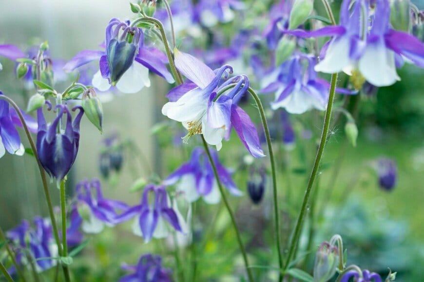 Natalia Zhukova/istockphoto.com