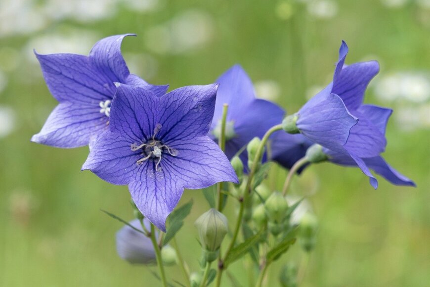 y-studio/istockphoto.com