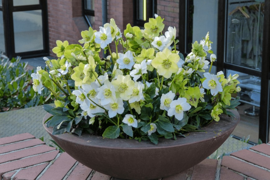 Romeo Ninov/istockphoto.com