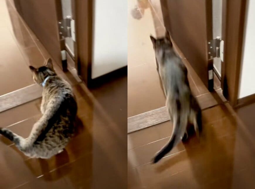 出所：@sorakai0905