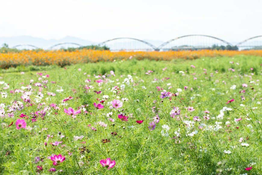 OFFICE TK/shutterstock.com