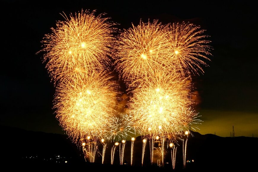 Owl CK/shutterstock.com