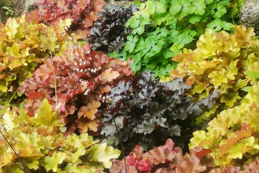 Masnug/istockphoto.com