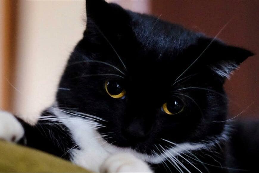 出所：@unicouniuni3