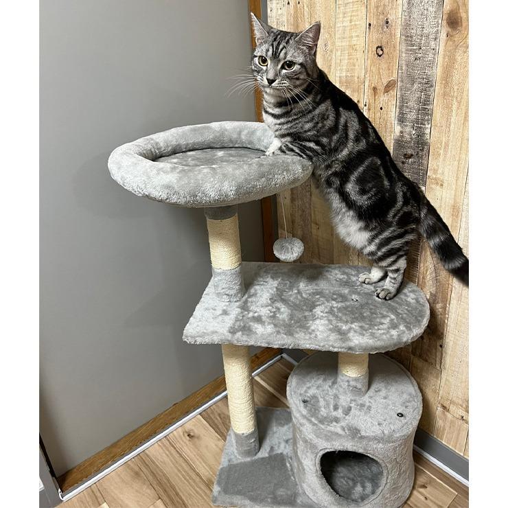 出所：しまむら公式オンラインストア キャットタワー