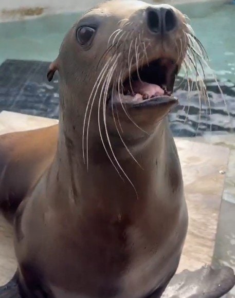 神戸市立王子動物園