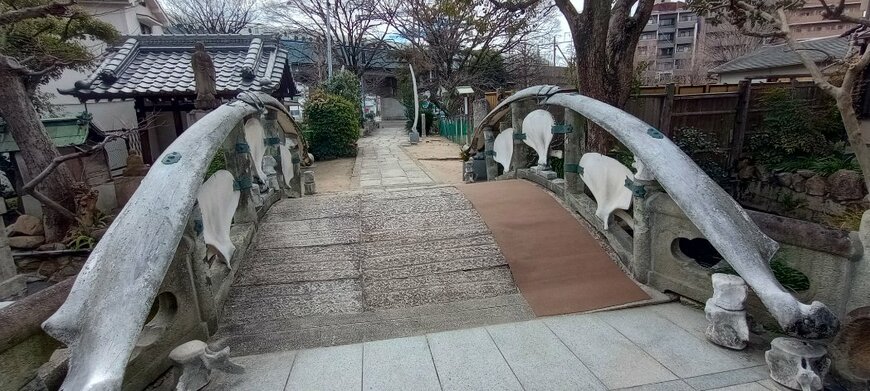 橋の素材に注目