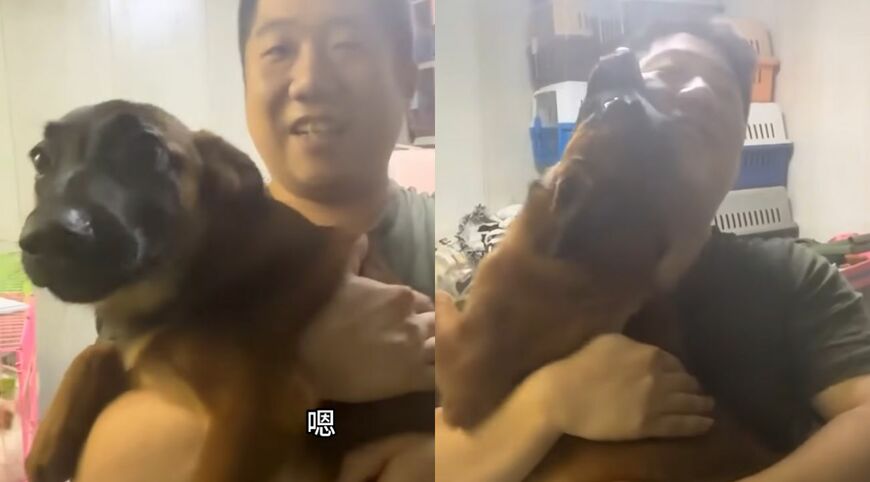 男性に抱っこされる子犬
