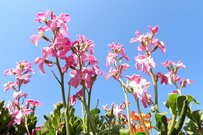 【年収600万円】日本に何パーセントいるのか。男女別で達成できる600万円超の業種を確認