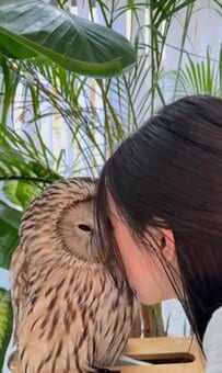 【至福のフクロウ】飼い主さんが顔をスリスリ→幸せそうな姿に2.5万回再生！