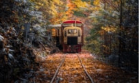 【長野県・木曽郡】まるでジブリ！？森の中を走る列車が幻想的だった