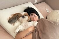 朝寝坊した飼い主を起こしに行った犬　まさかの事態に「絶望」する様子が話題