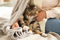 【65歳以上の無職世帯】月の生活費の実態とは？年金月額とみんなの老後の貯金額は平均でいくらか