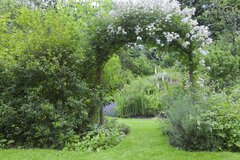【ガーデニング】ホワイトガーデンにオススメの植物13選！白と緑の組み合わせがオシャレな庭づくり