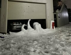大雪の日に車庫で密かに飼っていた大ダコが脱走？リアルな大ダコの姿に「今にも動き出しそう」