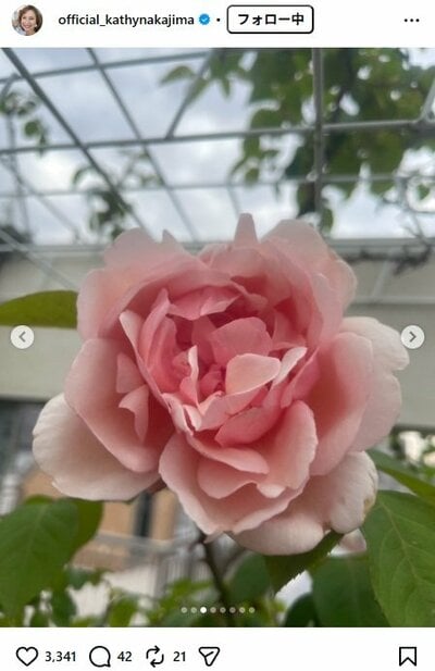 キャシー中島のInstagram投稿