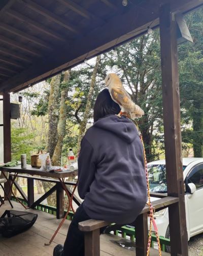 投稿動画のワンシーン