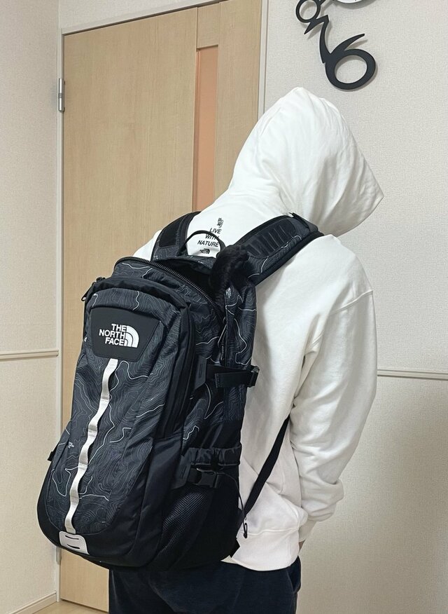 「ちょこっと見えてます」かくれんぼ上手の猫ちゃんが話題　ちょっとやそっとじゃ見つかりません！