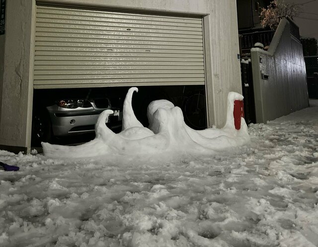大雪の日に車庫で密かに飼っていた大ダコが脱走？リアルな大ダコの姿に「今にも動き出しそう」