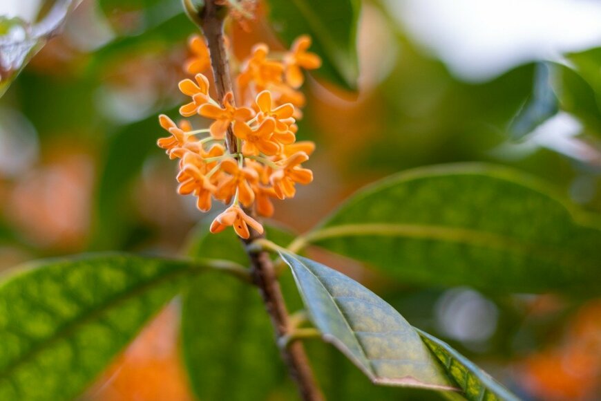 Toru Kimura/istockphoto.com