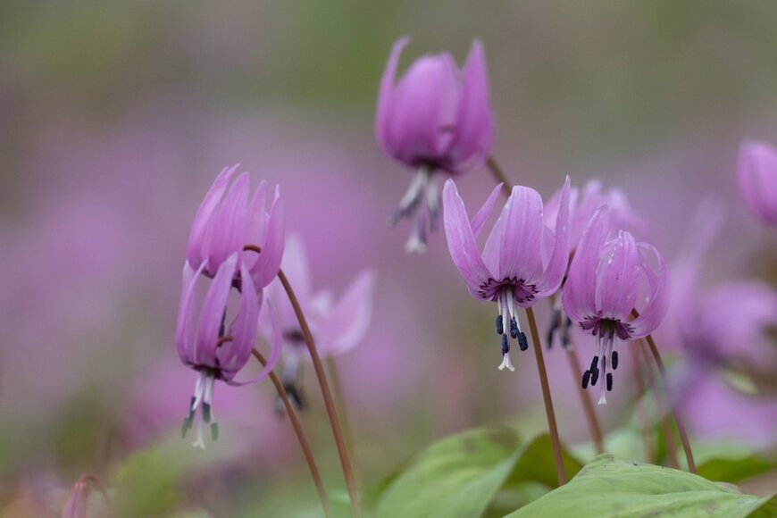 F_studio/shutterstock.com