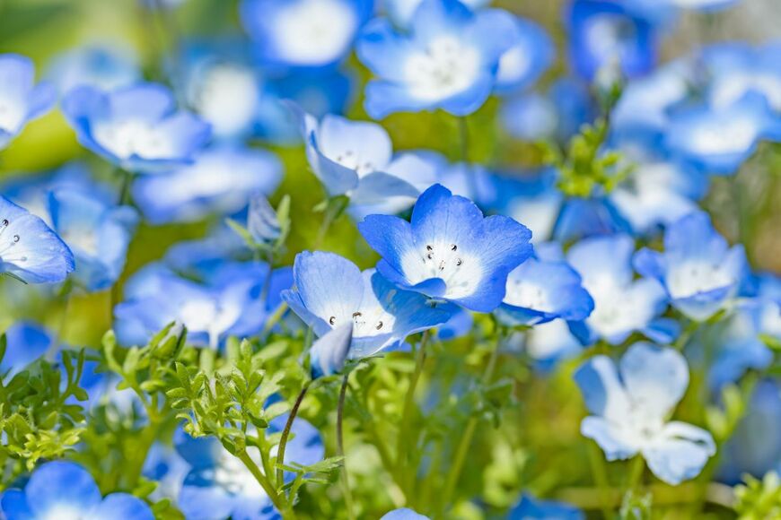 taka1022/shutterstock.com