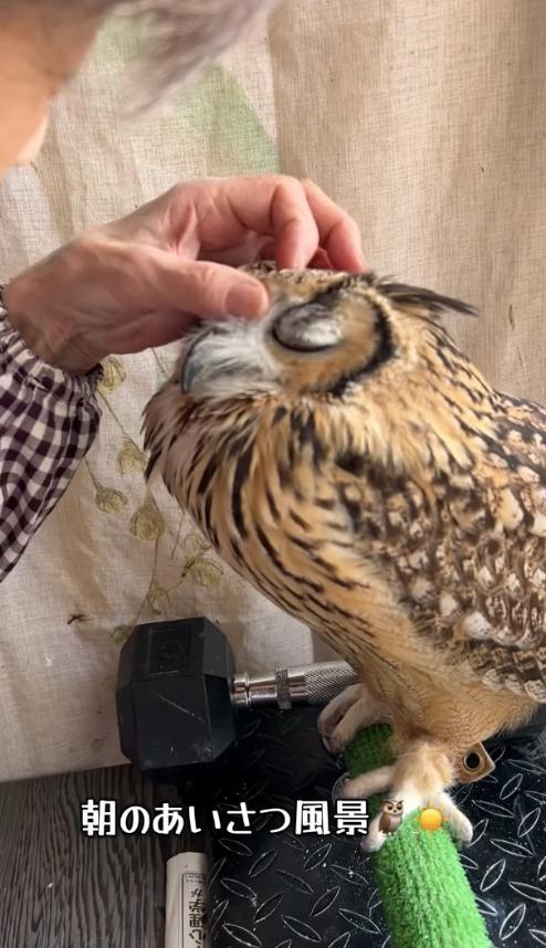 出所：@ba_chantolatte